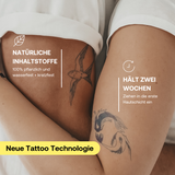 Startup Starter Set Deal