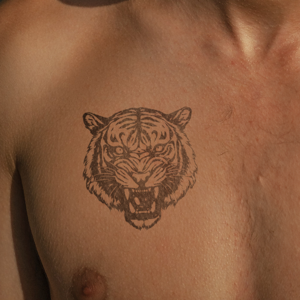 Tiger Kopf Traditional Tattoo
