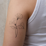 Geburtsblume Sep Ackerwinde Tattoo