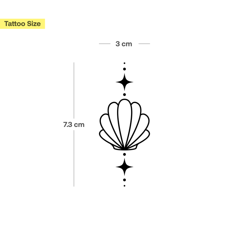 Muschel und Sterne